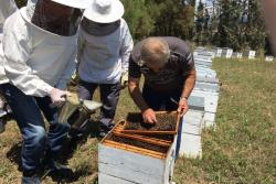 Produkcia medu v Grécku patrí na Chalkidiki medzi najsilnejšie.