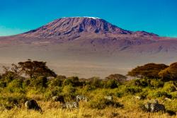Národný park Amboseli, pasúce sa zebry a hora Kilimandžáro. Keňa. Foto: unsplash.com