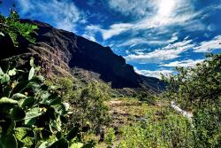 Opuncie a horské masívy s modrou oblohou, Gran Canaria. Foto: unspalsh.com