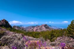 Centrum ostrova Grand Canaria, Kanárske ostrovy. Foto: unsplash.com