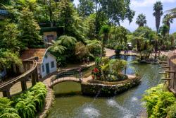 Tropická záhrada s jazierkami, domami. Madeira. Foto: unsplash.com