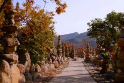 Stromová alej a cesta posiata nastavanými skalami. Južná Kórea. Foto: unsplash.com