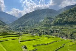 Zelené ryžové terasy a hory v pozadí v Banaue. Filipíny. Foto: unsplash.com