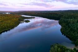 Modré jazero a okolité stromy v Silkeborgu. Dánsko. Foto: unsplash.com