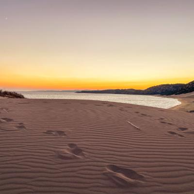 Dunový pás pri pobreží Dipkarpaz. Severný Cyprus