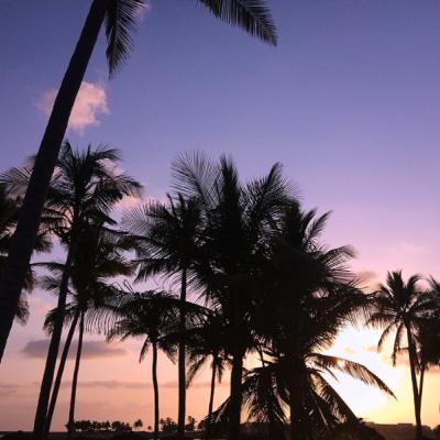 Západ slnka a kokosové palmy v Salalah. Omán