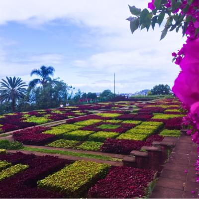 Botanická záhrada. Madeira.