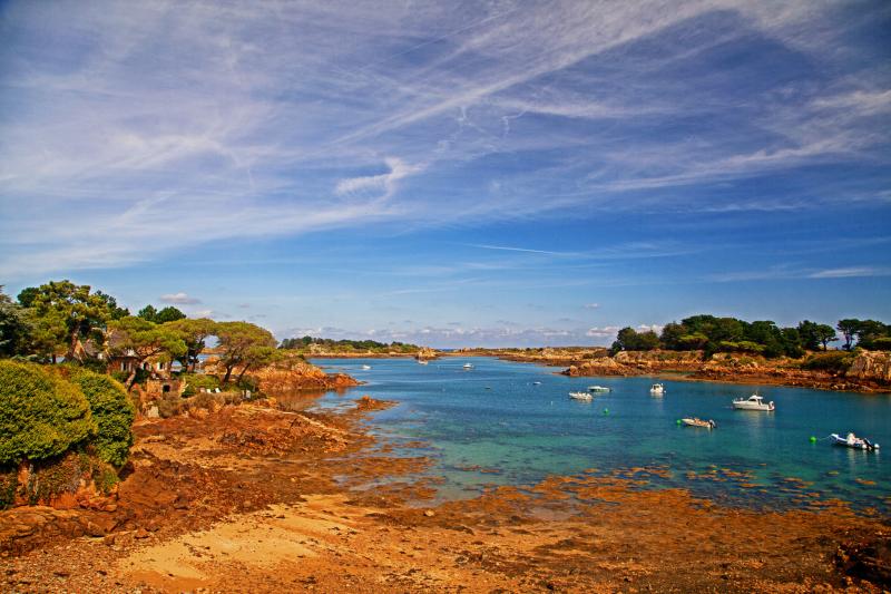 Pobrežie, loďky, zelené stromy. Ile de Bréhat