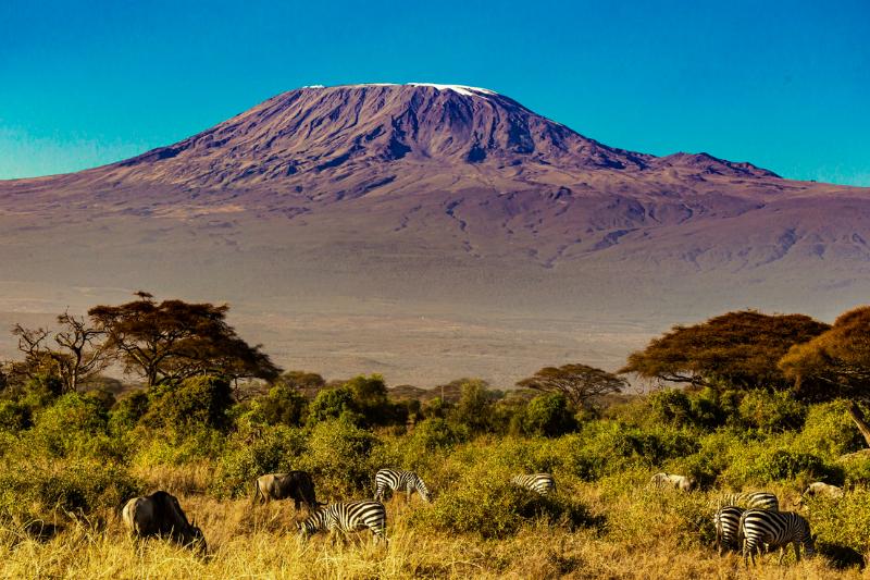 Národný park Amboseli, pasúce sa zebry a hora Kilimandžáro. Keňa. Foto: unsplash.com