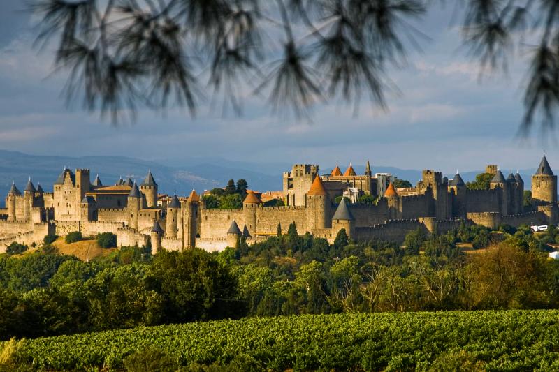 Zelené pole, stromy a hrad Carcassone, Francúzsko. Foto: unsplash.com