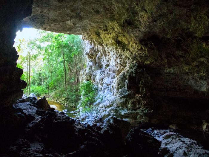 Jaskyňa a džungľa v Belize. Foto: unsplash.com