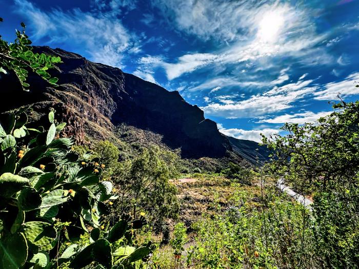 Opuncie a horské masívy s modrou oblohou, Gran Canaria. Foto: unspalsh.com