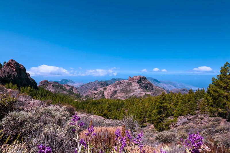 Centrum ostrova Grand Canaria, Kanárske ostrovy. Foto: unsplash.com