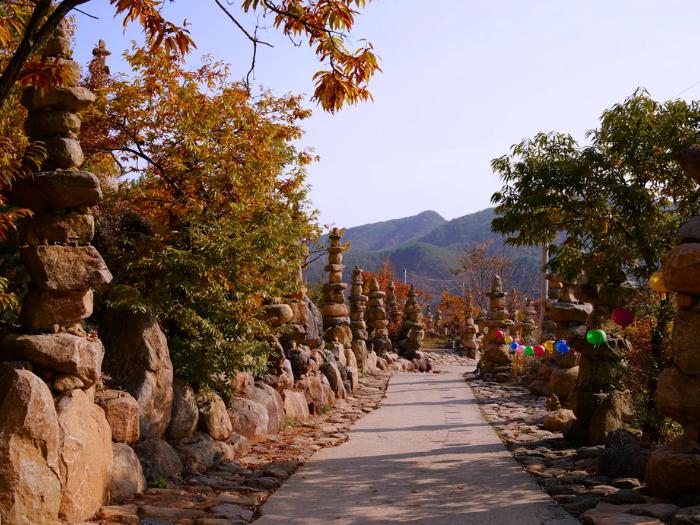 Stromová alej a cesta posiata nastavanými skalami. Južná Kórea. Foto: unsplash.com