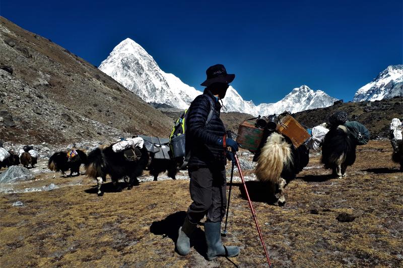 Šerpa a zvieratá nosiace náklad v Himalájach v Lobuche. Nepál. Foto: unsplash.com