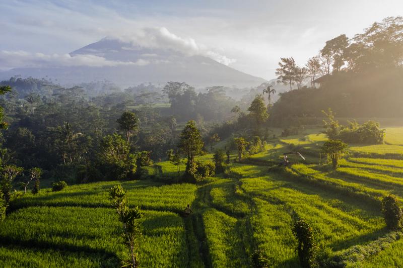 Hora Agung v pozadí, pri východe slnka a zelené políčka. Bali. Foto: unsplash.com