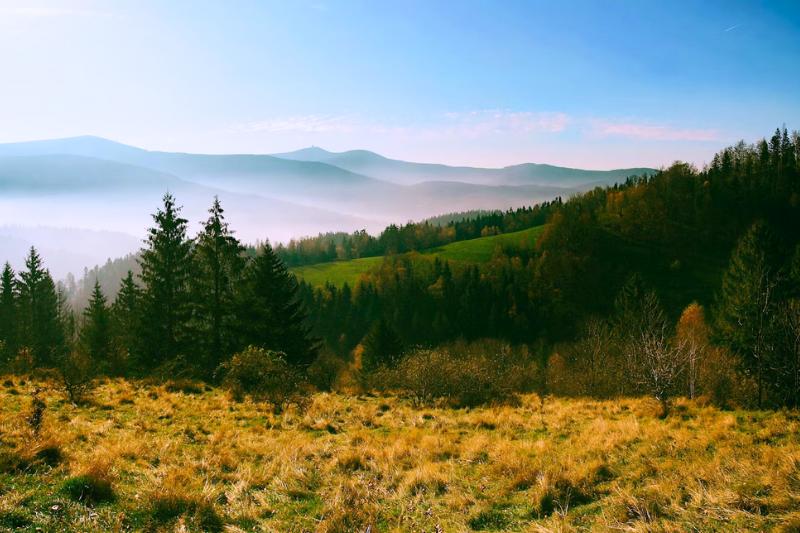 Trávnatá lúka, kopce a stromy v kontraste s modrým nebom v Beskydách. Česko.