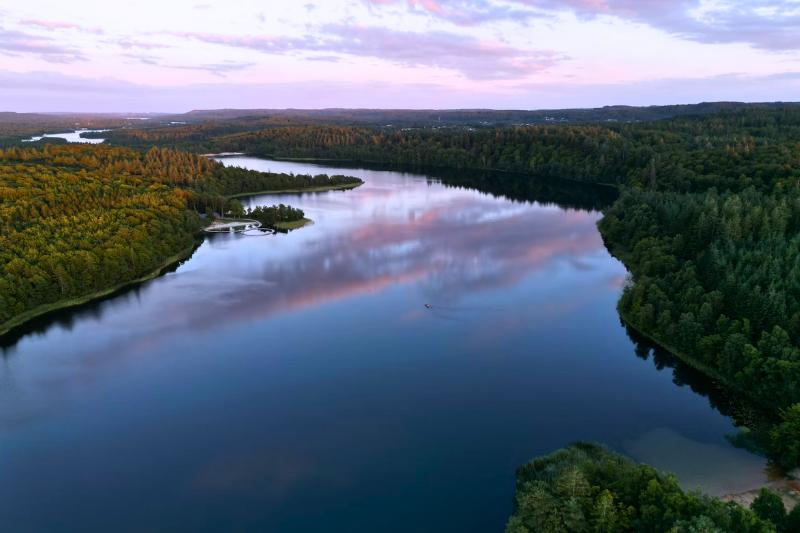 Modré jazero a okolité stromy v Silkeborgu. Dánsko. Foto: unsplash.com