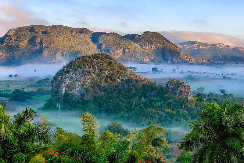 Zelené Vinales s palmami, a kopcovitými útvarmi. Kuba. Foto: unsplash.com