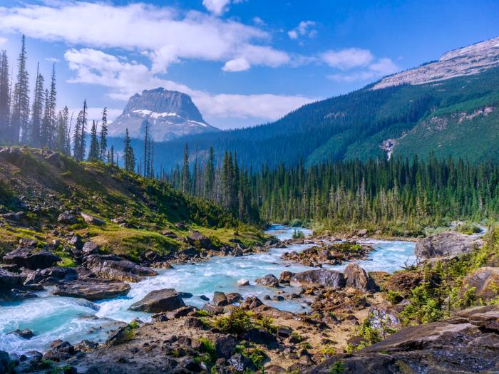 NP Yoho - potok, stromy a skalné vrchy. Kanada. Foto: unsplash.com