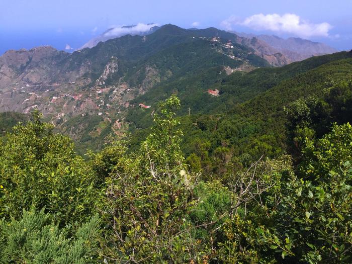 Vavrínové lesy a skalné masívy v Anaga. Tenerife