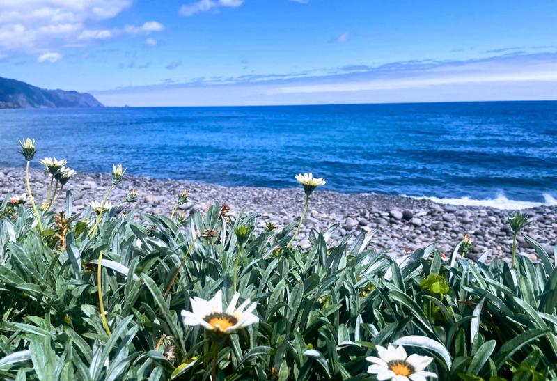 Kamenistá pláž. Madeira.