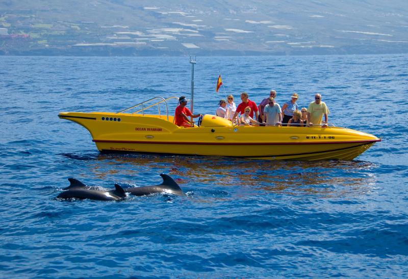 Žltá turistická loď a pozroovanie delfínov. Tenerife