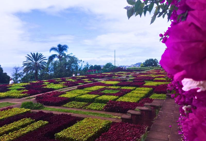 Botanická záhrada. Madeira.